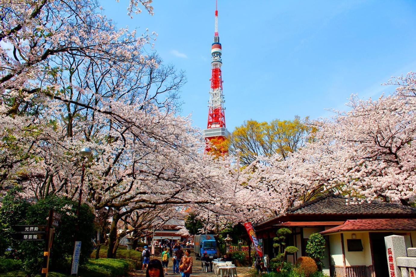 Rose Stay Tokyo Shiba Park Dış mekan fotoğraf