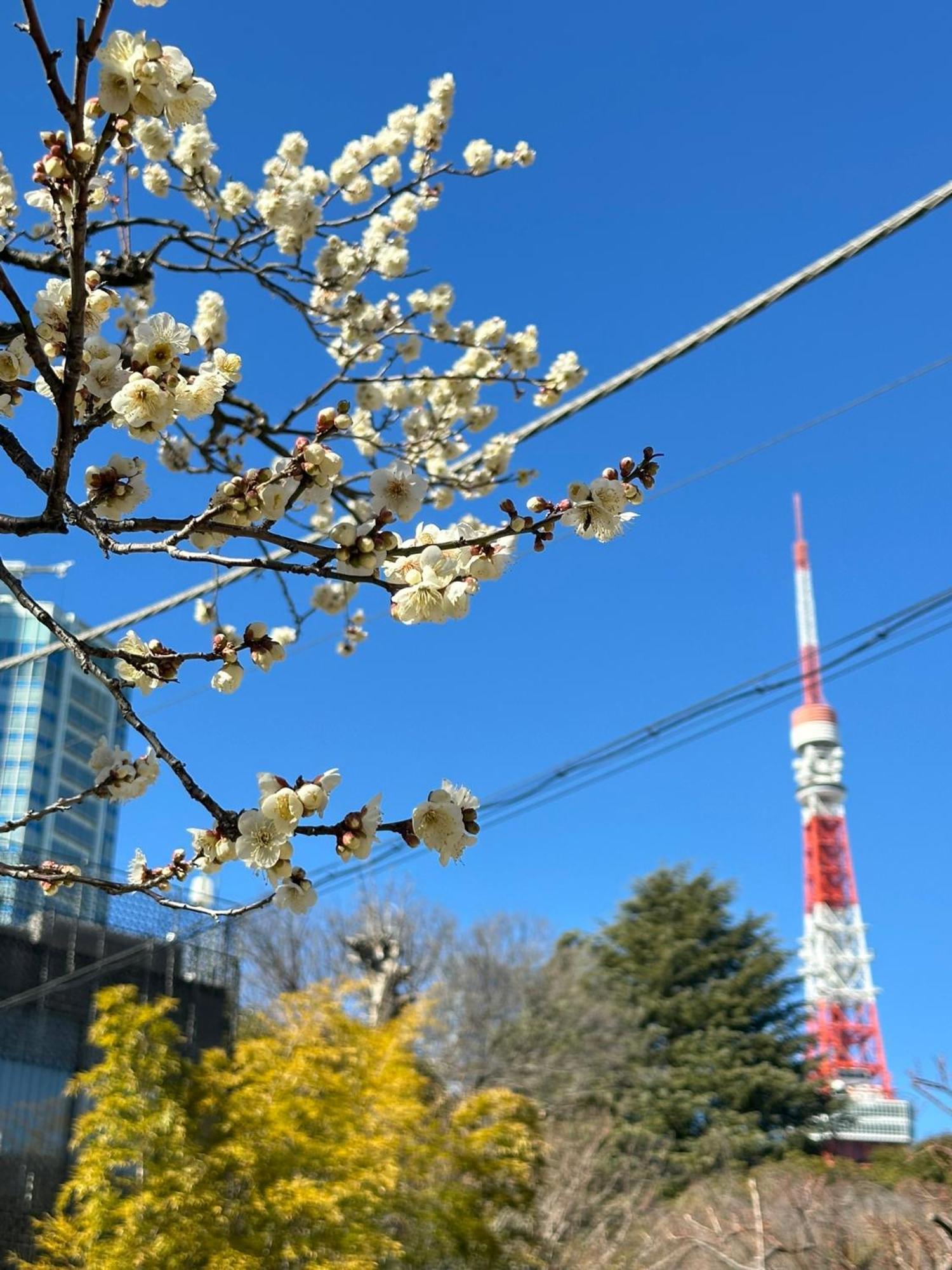 Rose Stay Tokyo Shiba Park Dış mekan fotoğraf